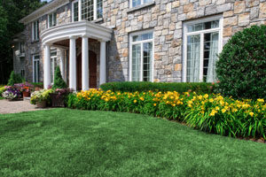 Lawn and garden care