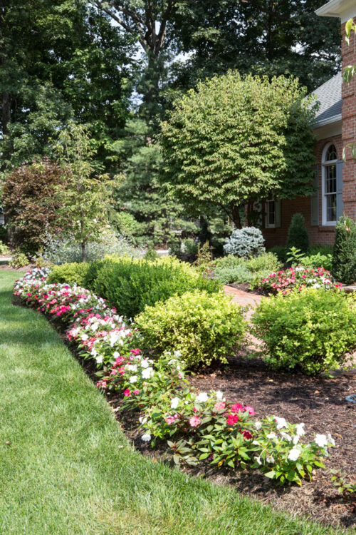 Seasonal Color | Horizon Landscape Company | Wyckoff, NJ